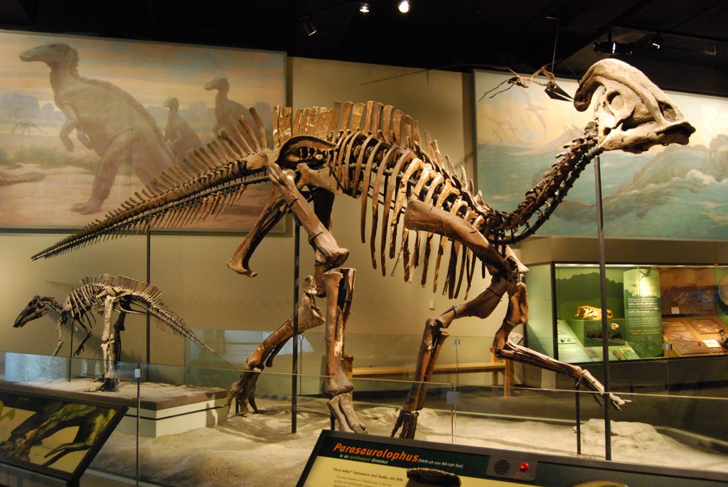 Parasaurolophus
