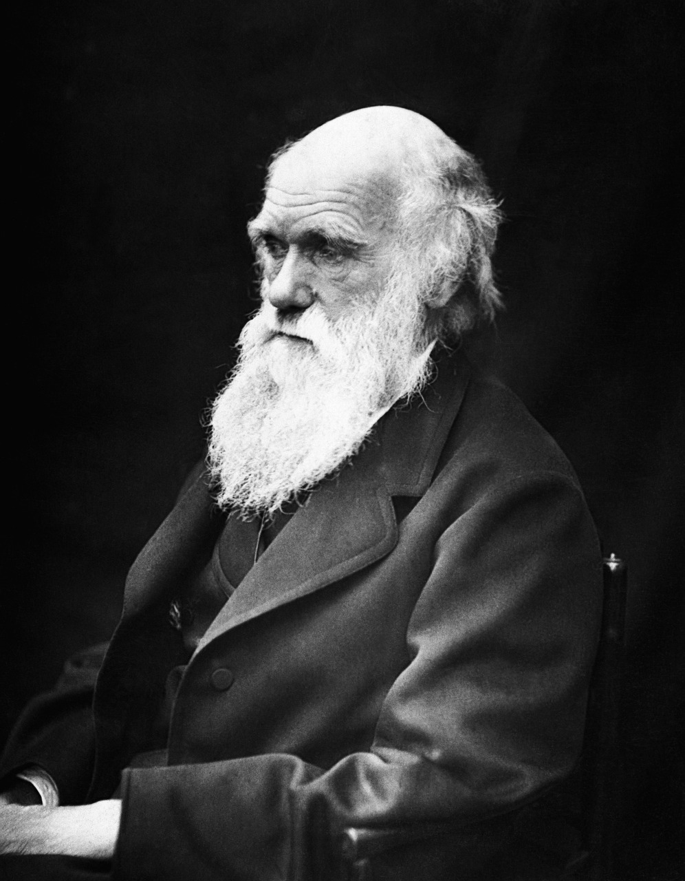 Darwin's Geological Mentor (image credits: pixabay)