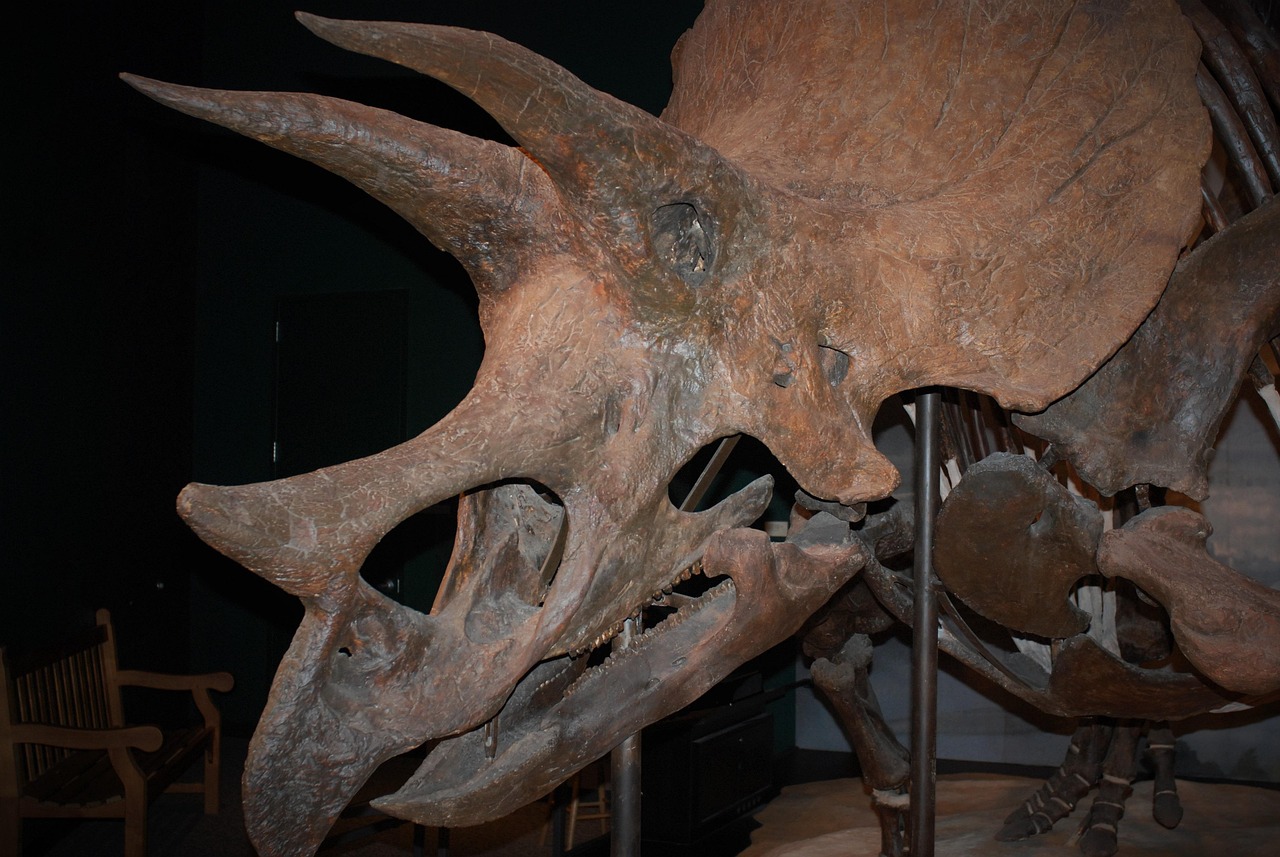 The World's First Dinosaur Discoveries (image credits: pixabay)