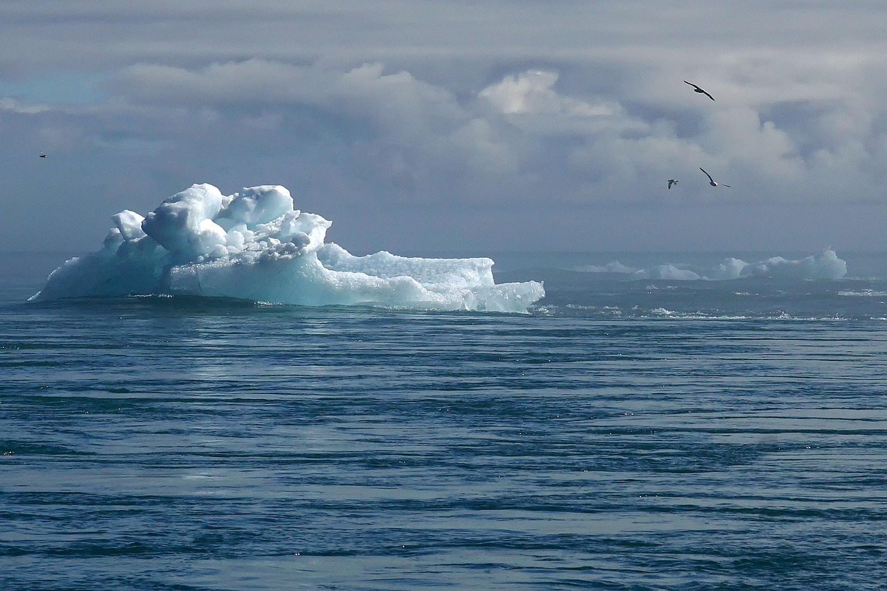 The Climate Change Chronicles (image credits: pixabay)