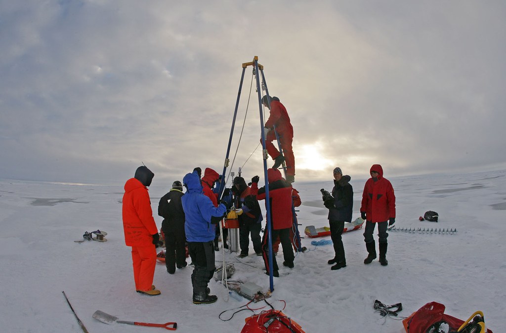 The Mental Fortress Required for Arctic Survival (image credits: flickr)