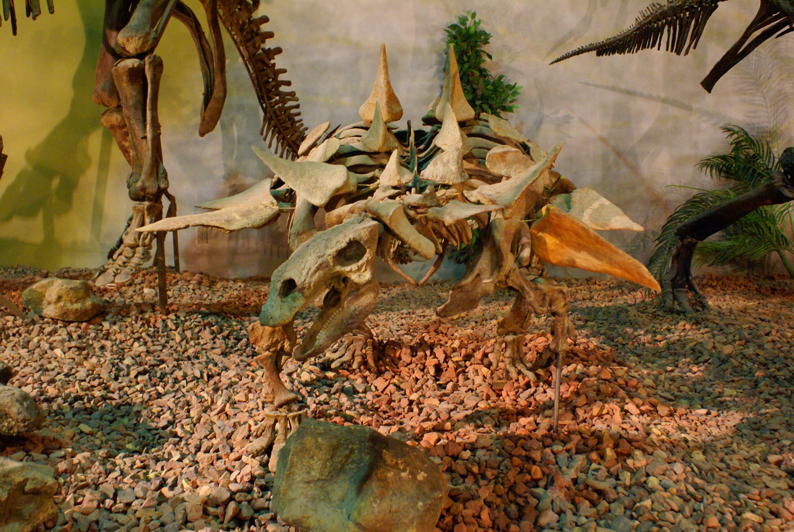 Educational Impact and Museum Design (image credits: wikimedia)