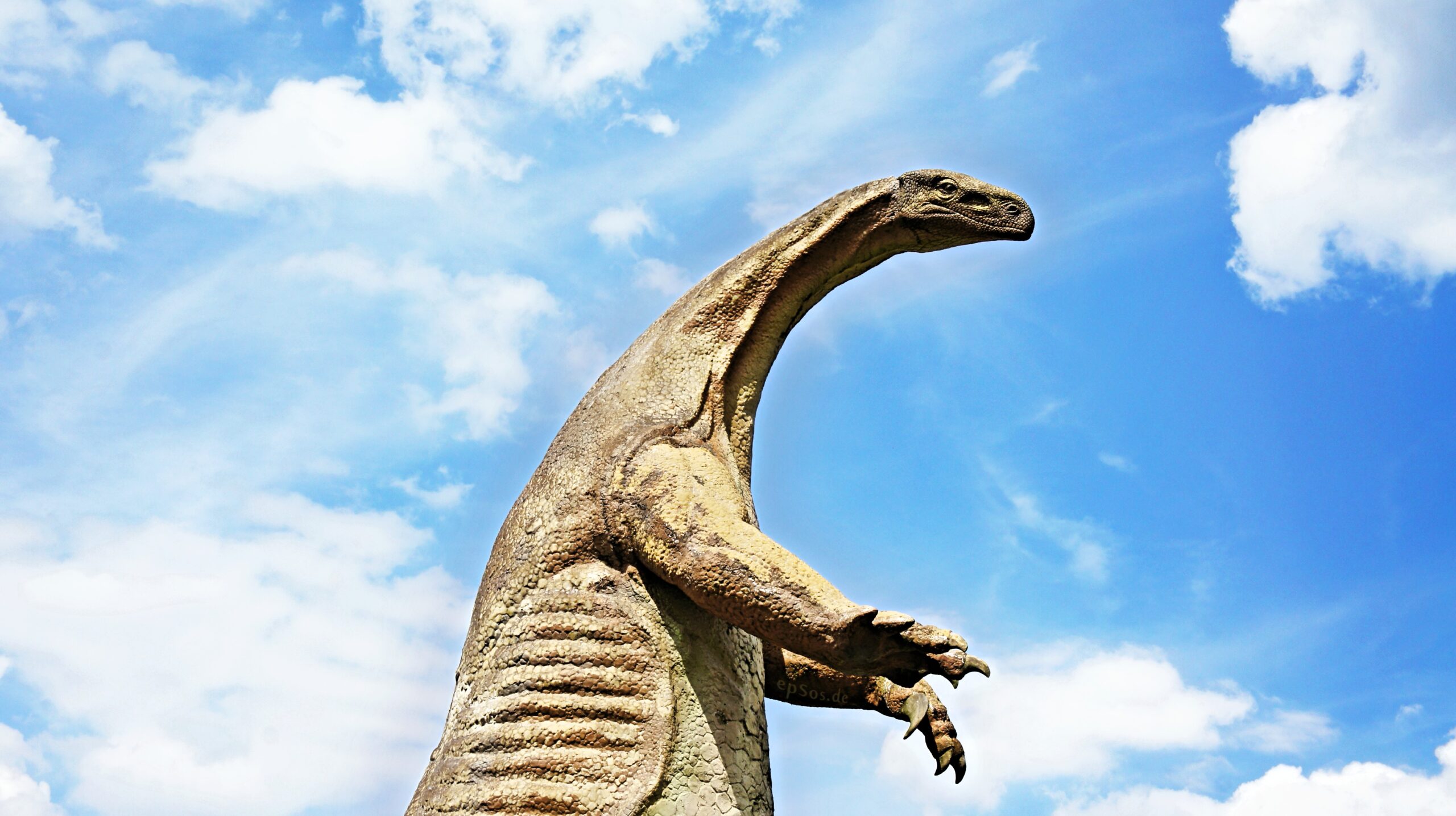 Everything You Need to Know About Dinosaurs (image credits: wikimedia)