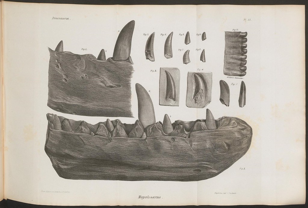 When Giants First Walked Among Us (image credits: flickr)