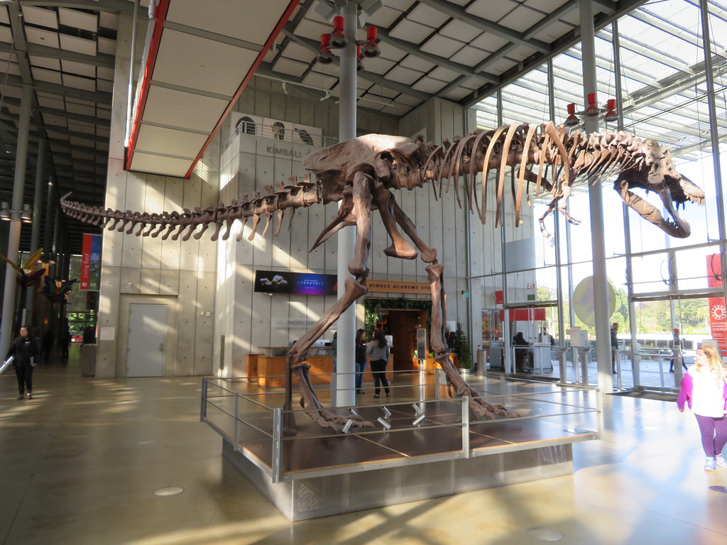 The Birth of Paleontology (image credits: flickr)