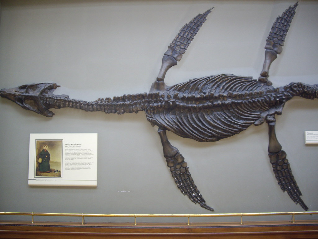 Marine Monsters from Sydney's Underwater Past (image credits: flickr)