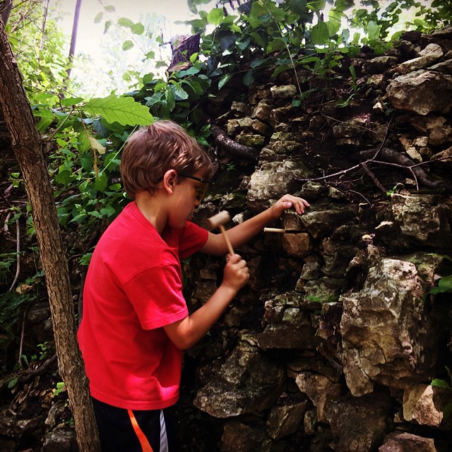 Discovering Fossils in Your Own Backyard (image credits: flickr)