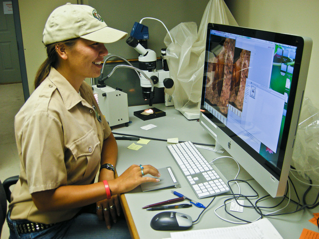 The Microscopic Fossils That Tell Big Stories (image credits: flickr)