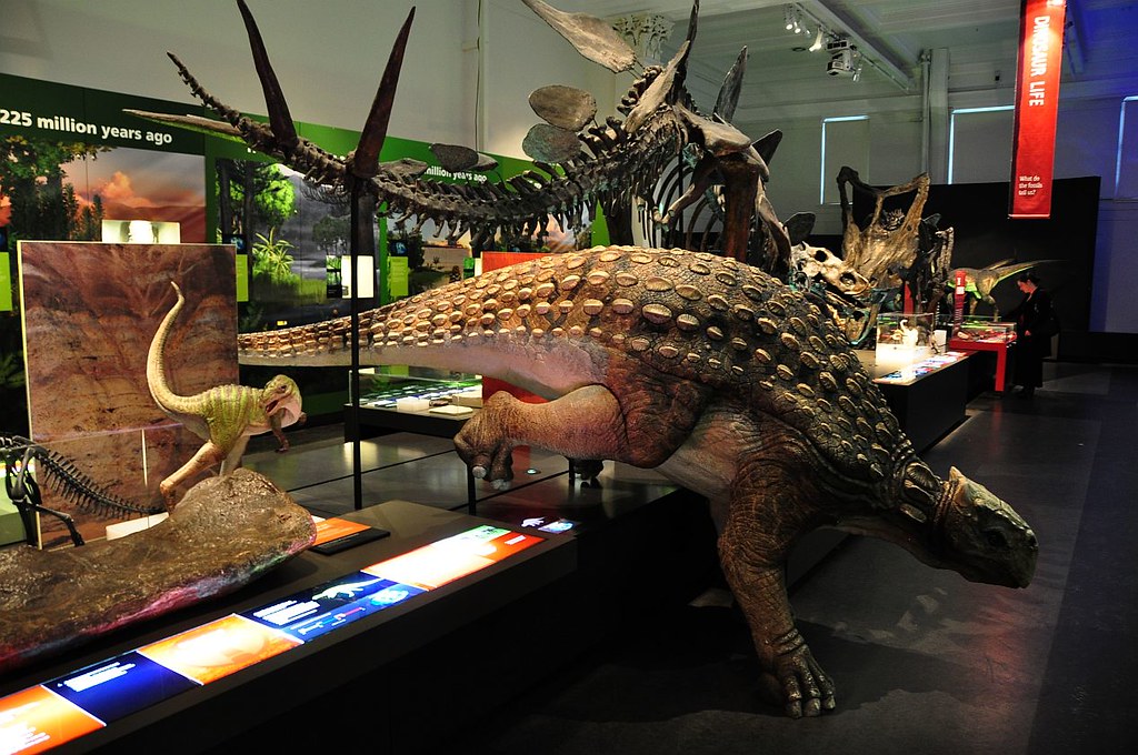 Conservation Challenges for Sydney's Fossil Heritage (image credits: flickr)