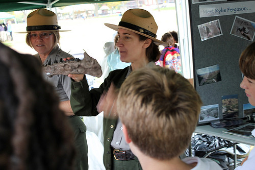 Educational Programs That Bring Fossils to Life (image credits: flickr)
