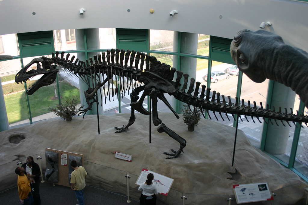 Texas-Sized Discoveries (image credits: flickr)