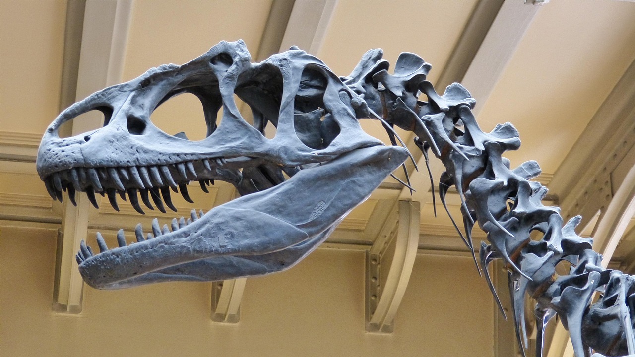 Feathered Dinosaurs and the Bird Connection (image credits: pixabay)