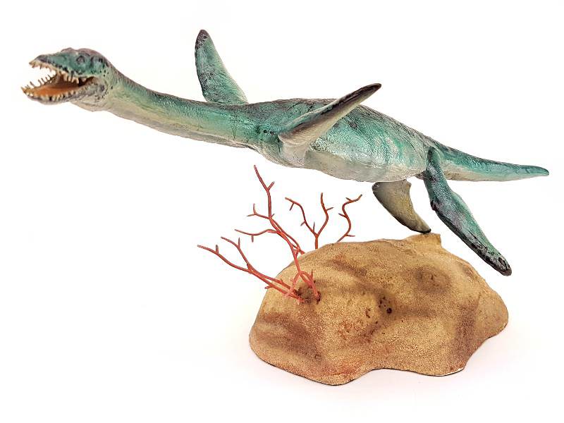 Marine Reptiles: Rulers of Ancient Seas (image credits: flickr)