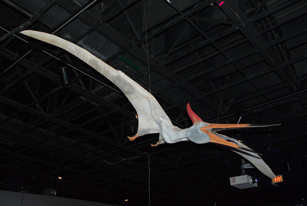 Flying Giants of the Mesozoic Skies (image credits: flickr)