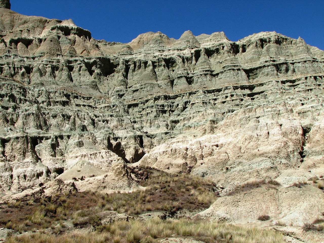 Fossil Formation and Preservation (image credits: pixabay)