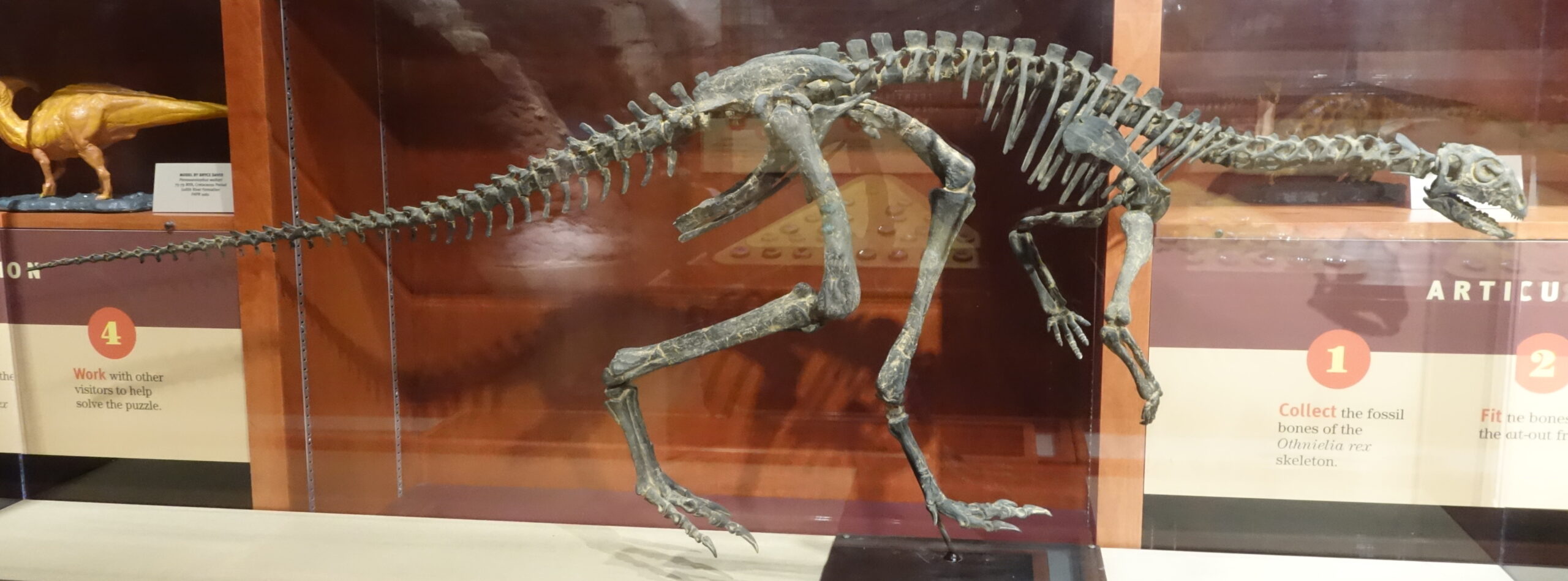 The Future of Dinosaur Discovery (image credits: wikimedia)