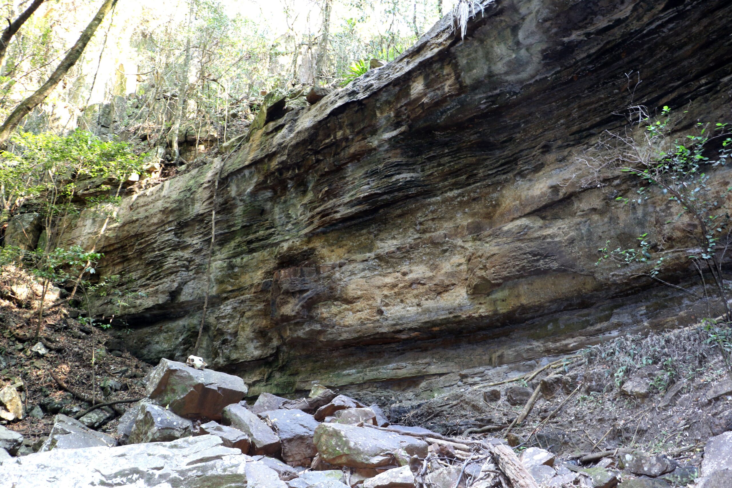 Reading the Rocks: Understanding Geological Clues (image credits: wikimedia)
