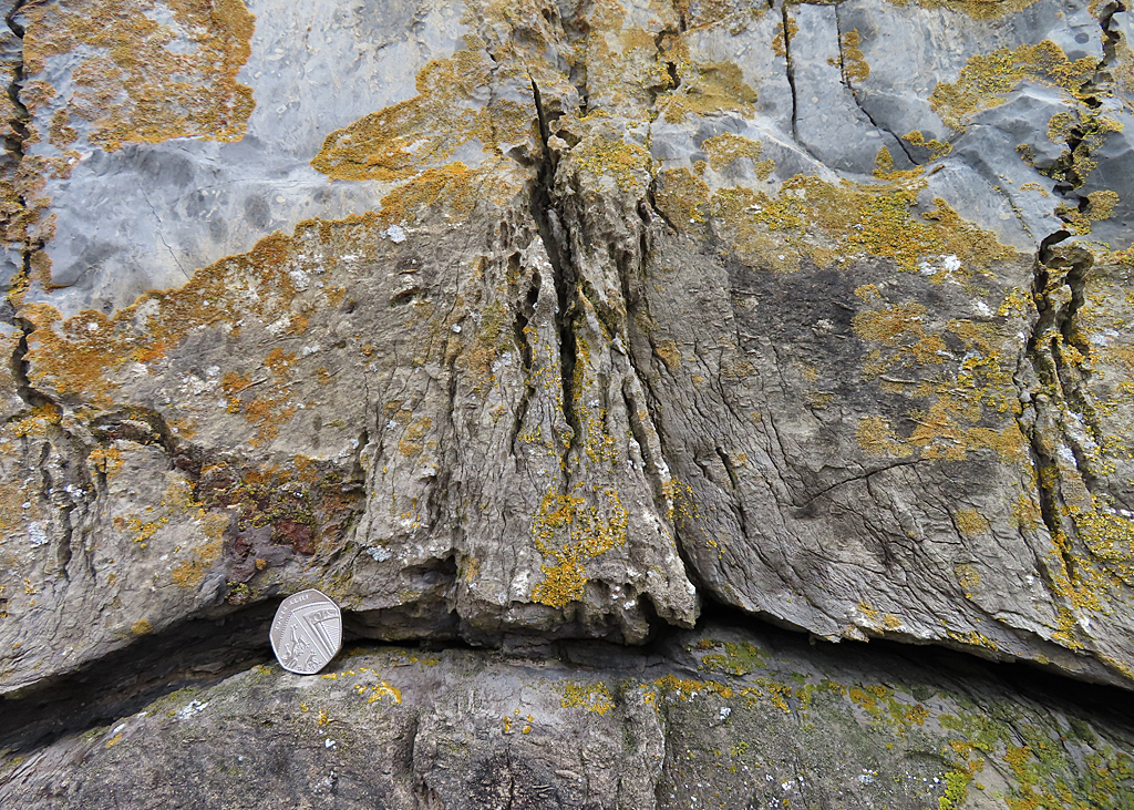 Geological Forces: Crushing the Evidence (image credits: wikimedia)