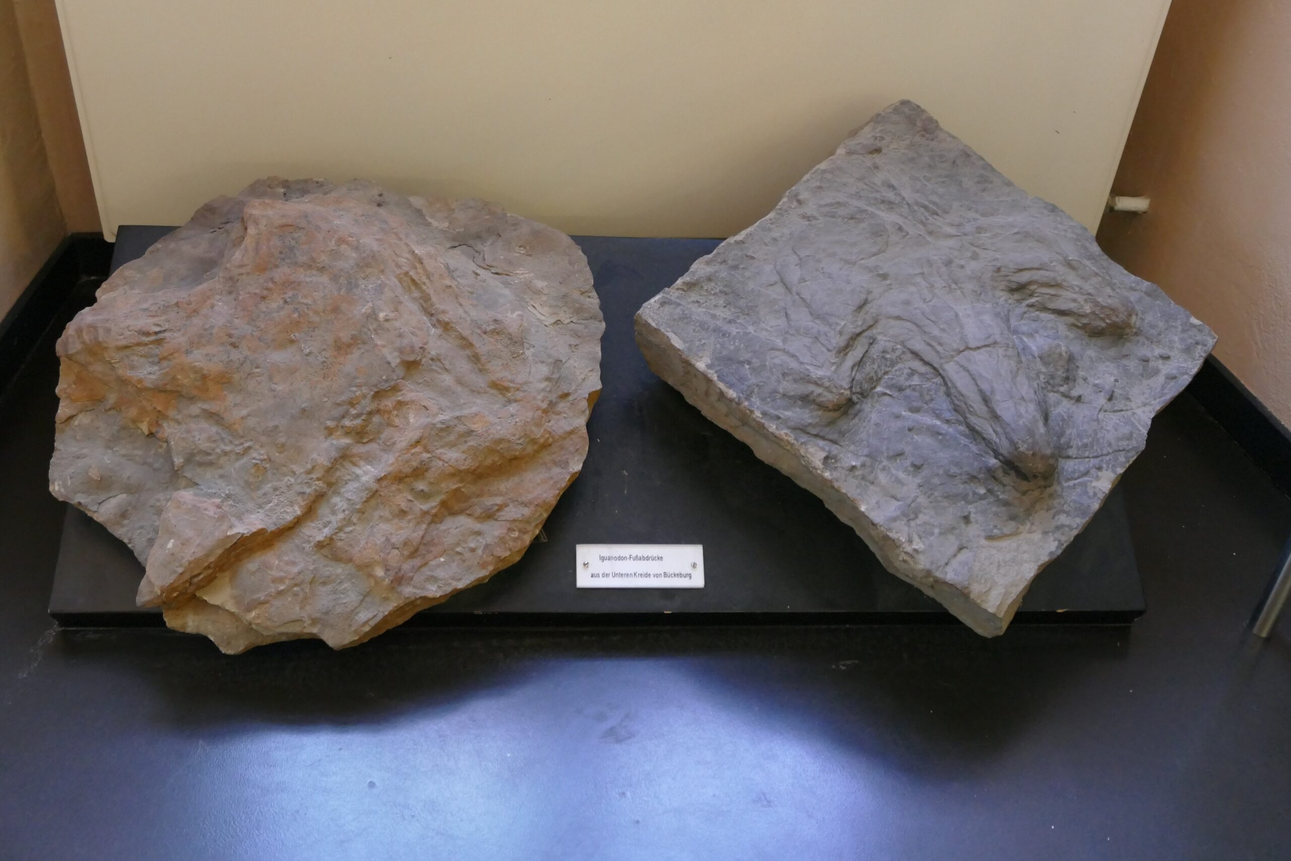 Visiting the Giants: A Journey Through Deep Time (image credits: wikimedia)