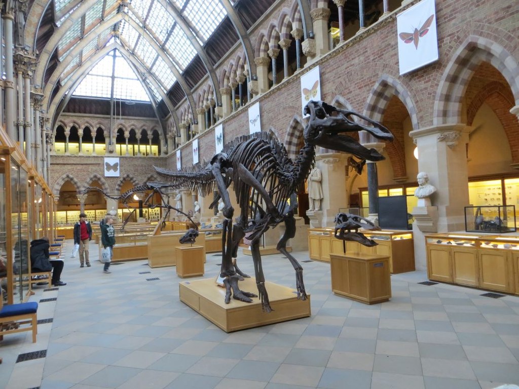 Europe's Iguanodon Cache: What Awaits in Brussels' Dinosaur Hall