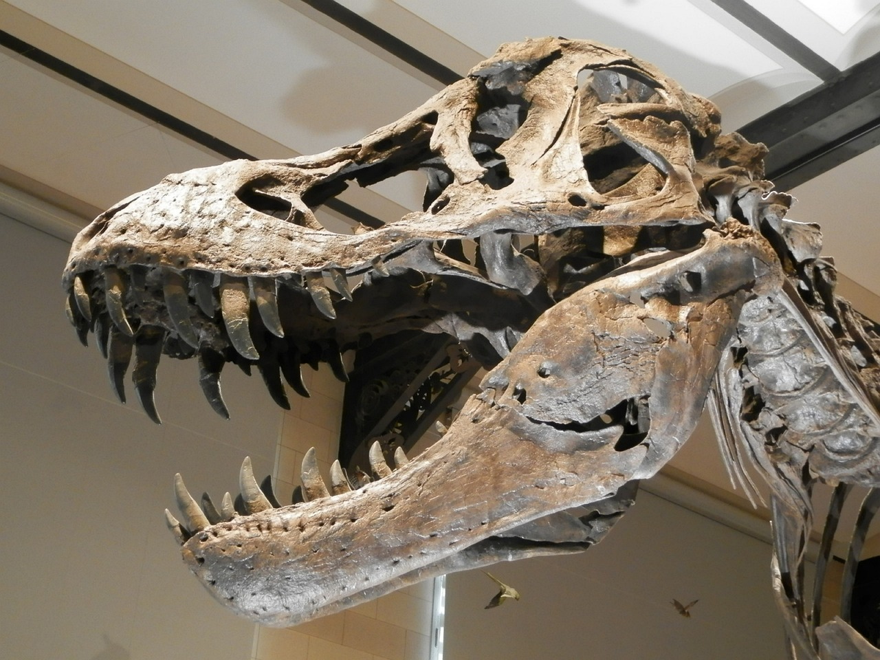 Reading the Timeline of Decomposition (image credits: pixabay)