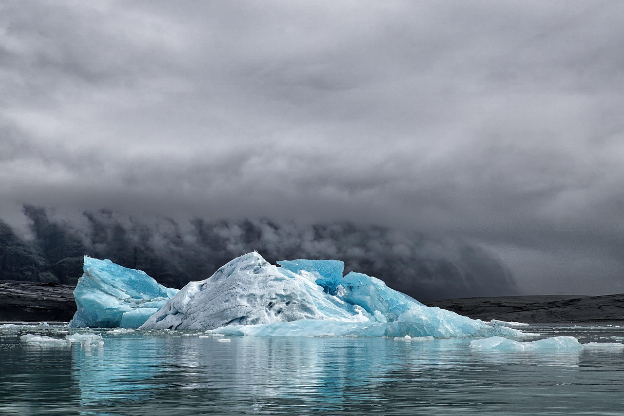Climate Change and Scavenging Patterns (image credits: pixabay)