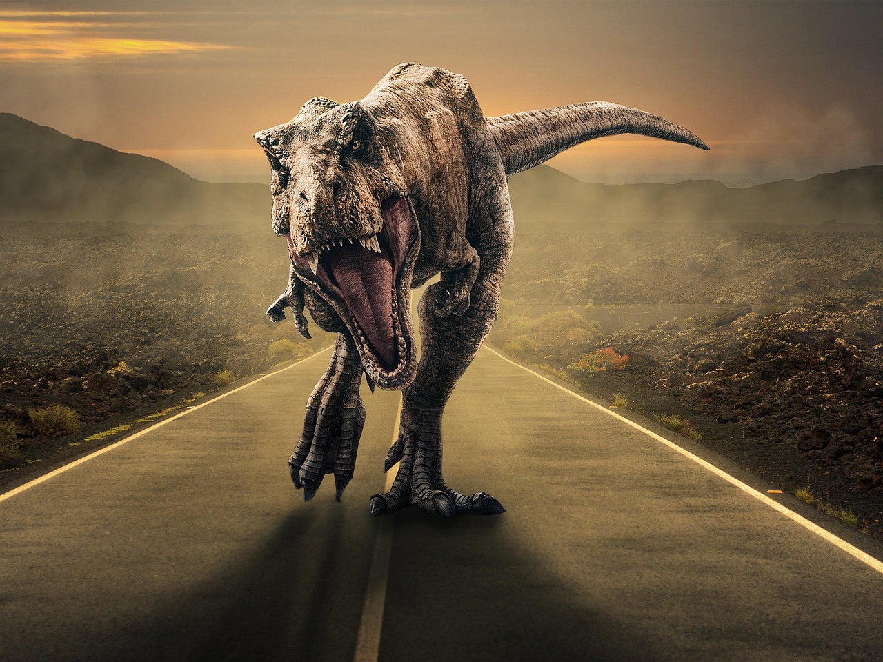 Speed Demons or Slow Movers? (image credits: pixabay)