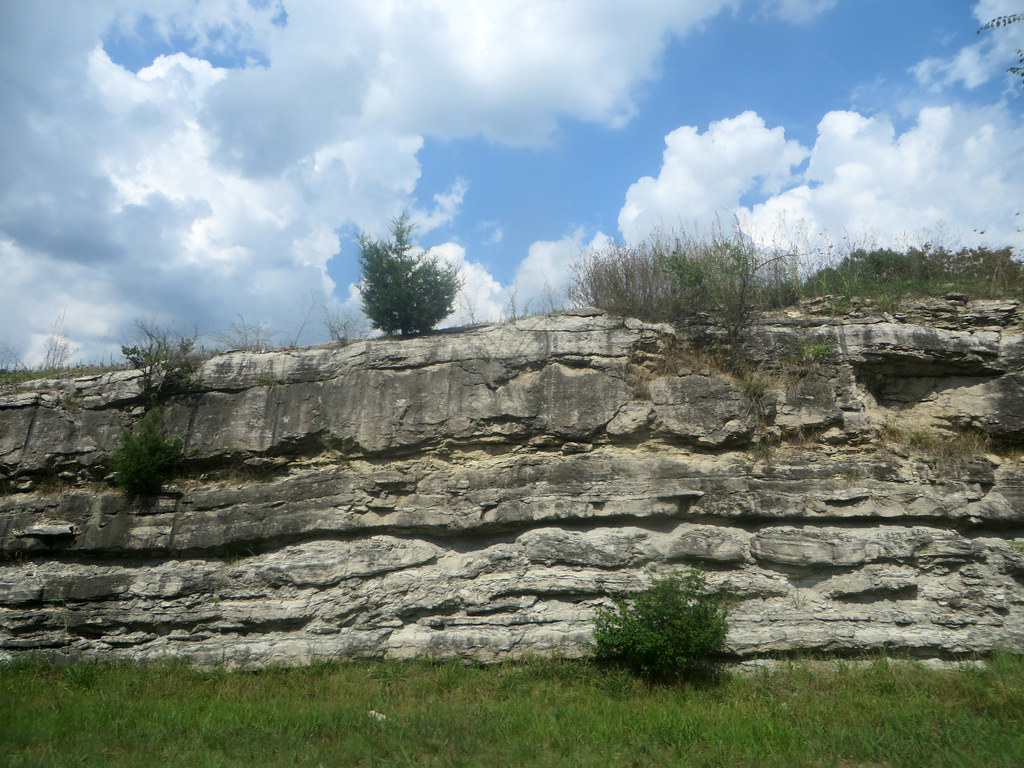 Scientific Breakthroughs from Unexpected Fossil Sites (image credits: flickr)