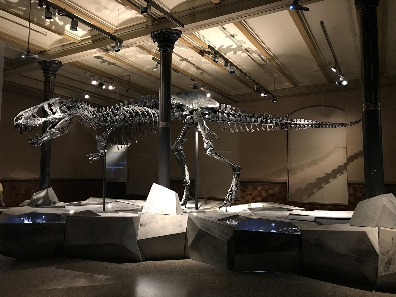Dinosaur Gallery: Where Giants Come to Life (image credits: pixabay)