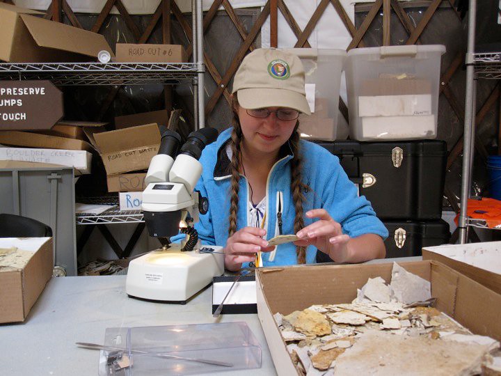 Fossil Preparation Lab: Science in Action (image credits: flickr)