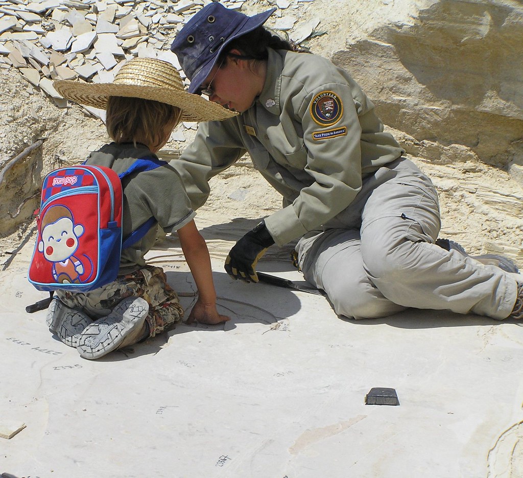 Educational Programs: Inspiring the Next Generation (image credits: flickr)