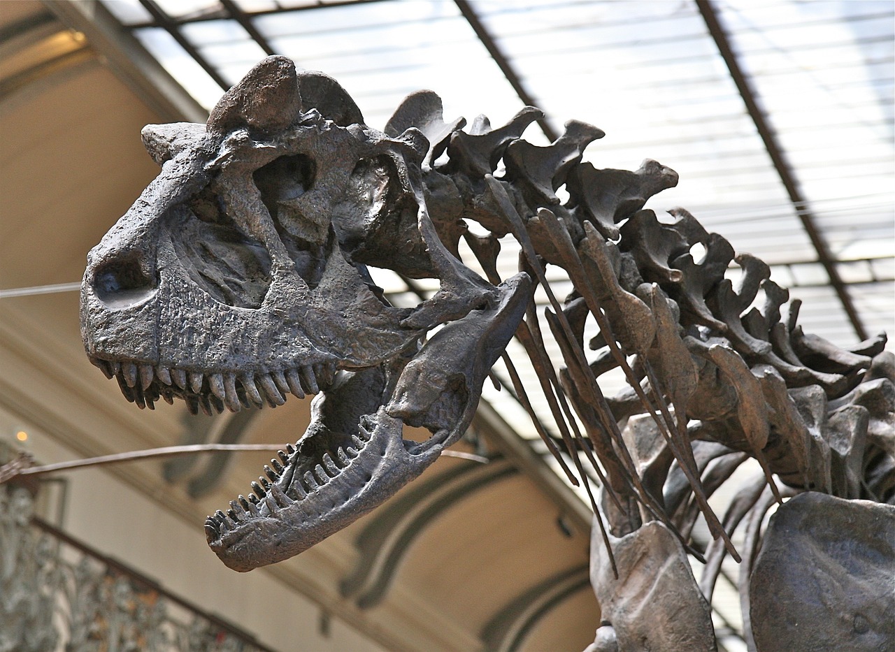 Planning Your Journey Through Deep Time (image credits: pixabay)