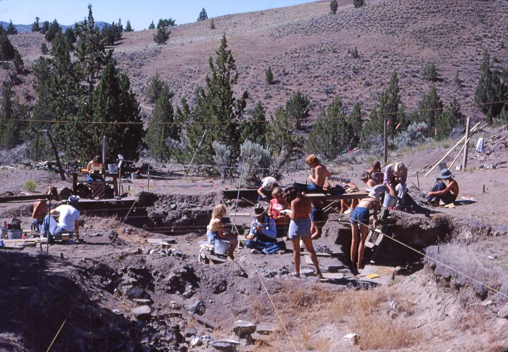 American Fossil Hunters Enter the Scene (image credits: flickr)