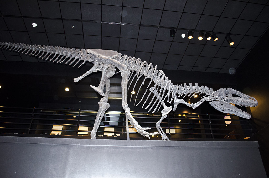 Complete Skeletons Revolutionize Display Methods (image credits: flickr)