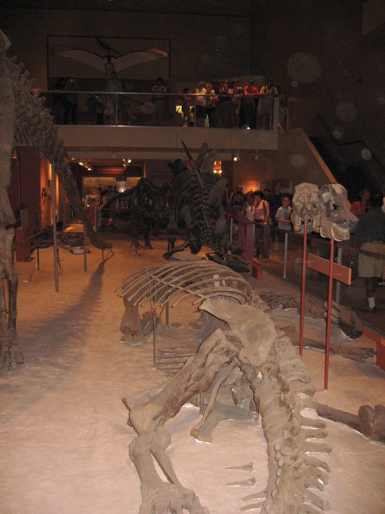Museums Become Centers of Scientific Research (image credits: flickr)