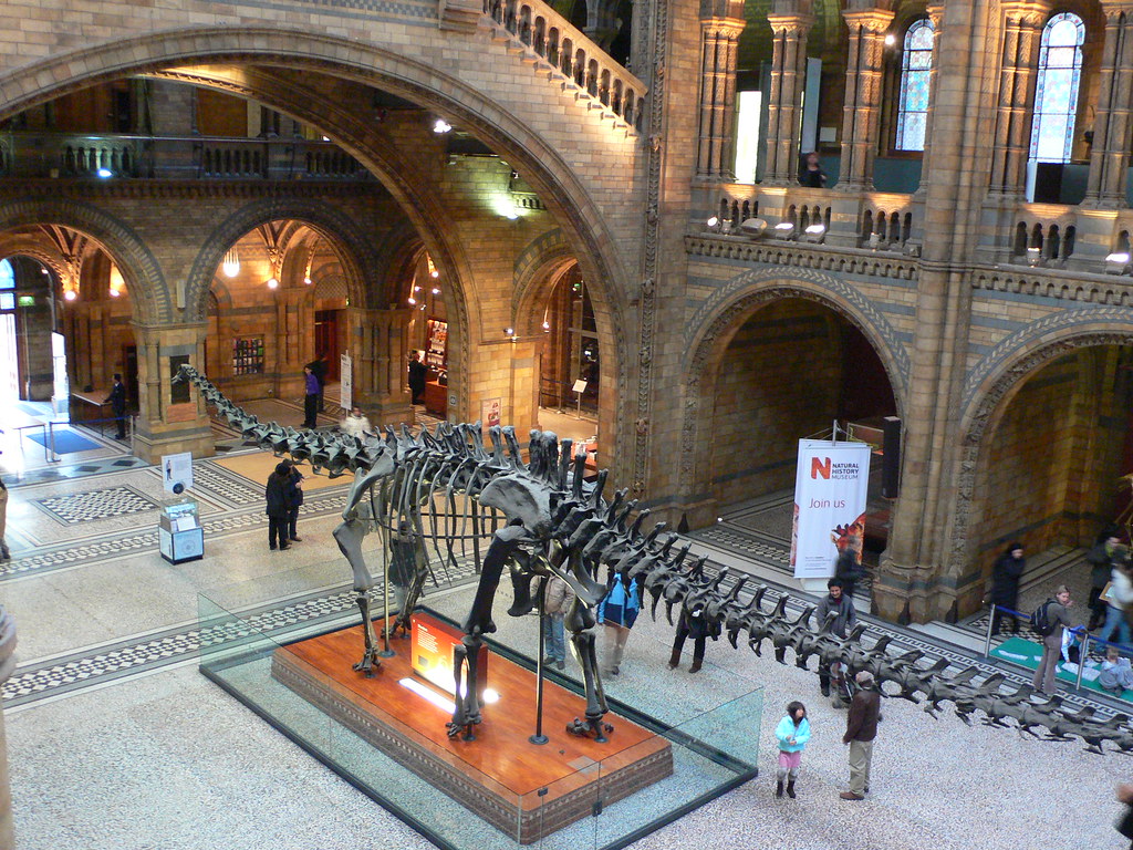 Architectural Changes Accommodate Giant Displays (image credits: flickr)