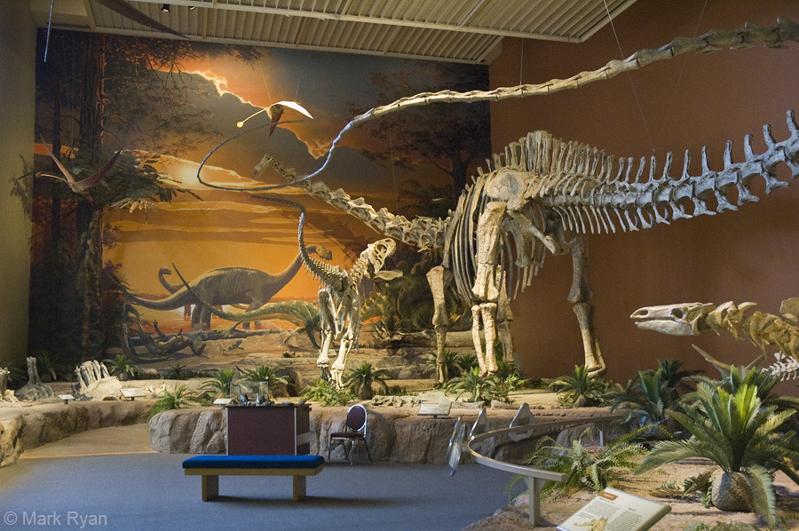 Legacy of Wonder and Scientific Revolution (image credits: flickr)
