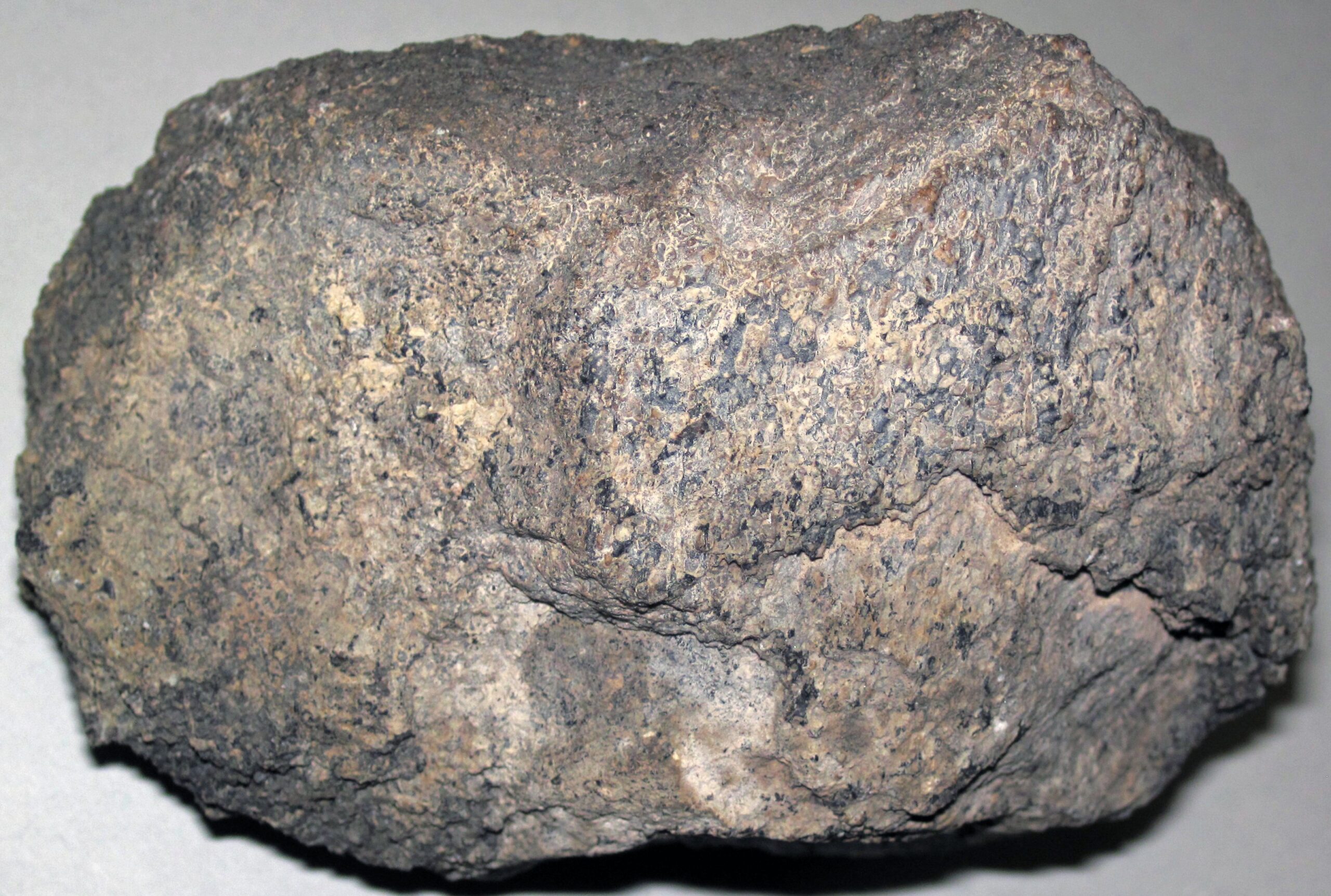 When Bones Turn to Pure Stone (image credits: wikimedia)
