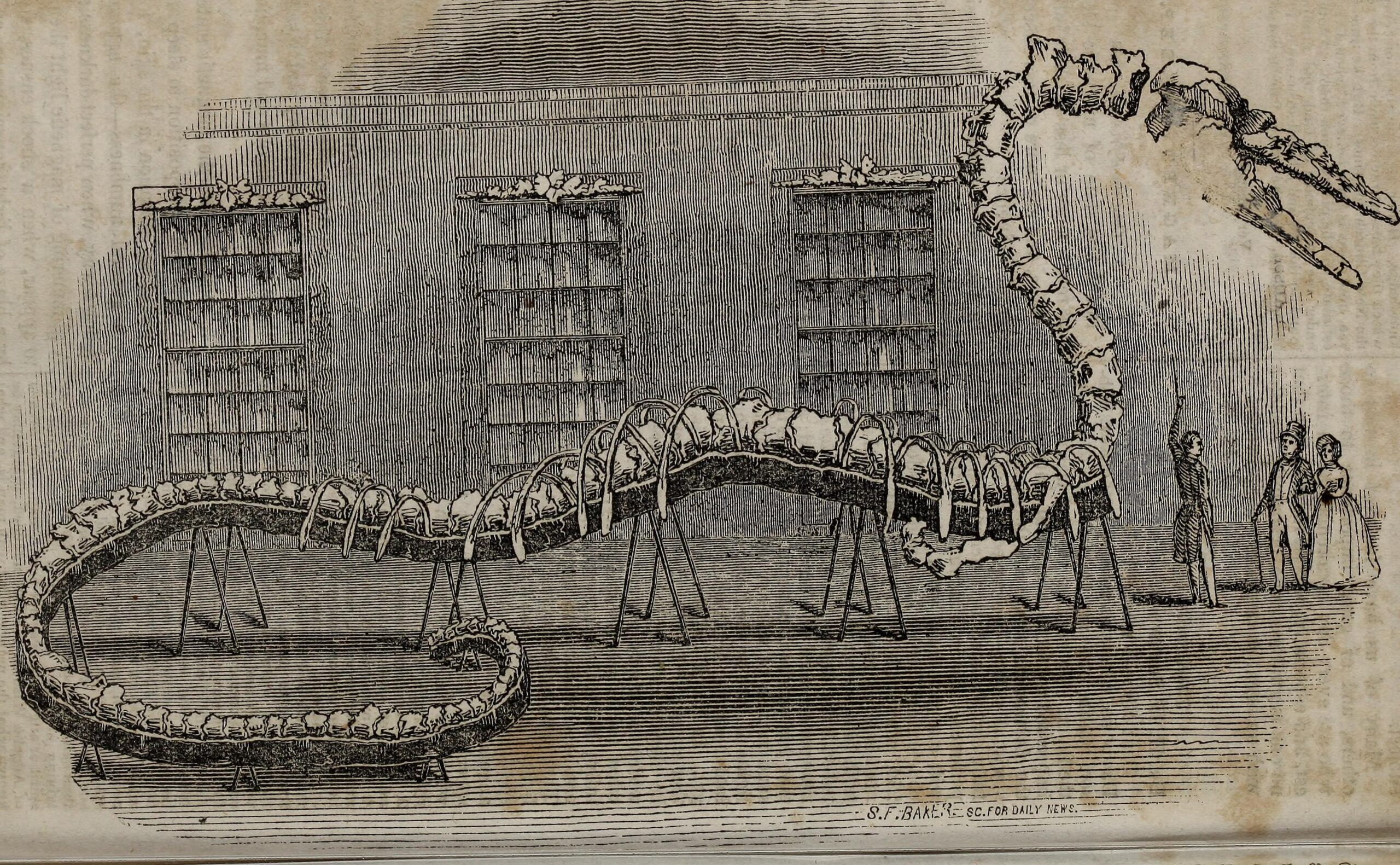 The Bone Magnet Mystery (image credits: wikimedia)