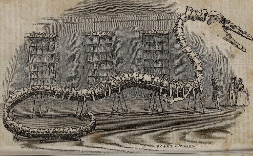 7 Weird Things That Could Happen to Dino Bones After Death