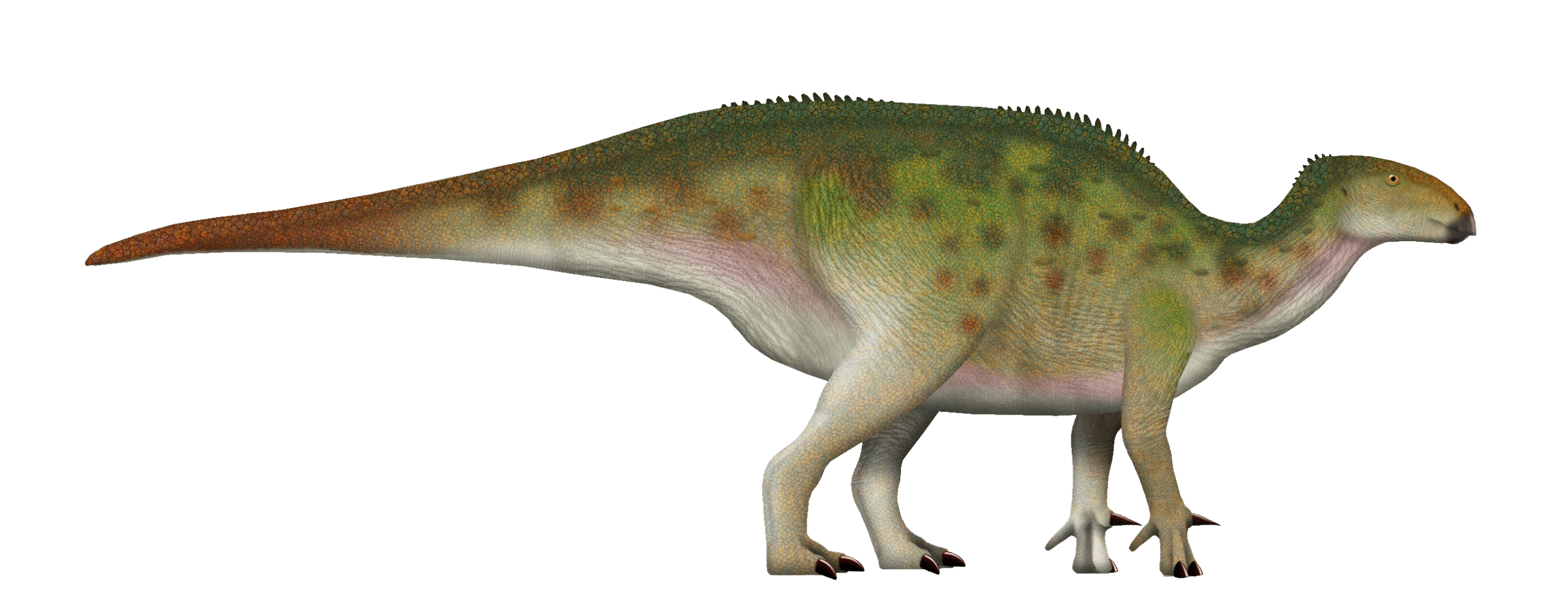 The Brontosaurus That Never Was (image credits: wikimedia)