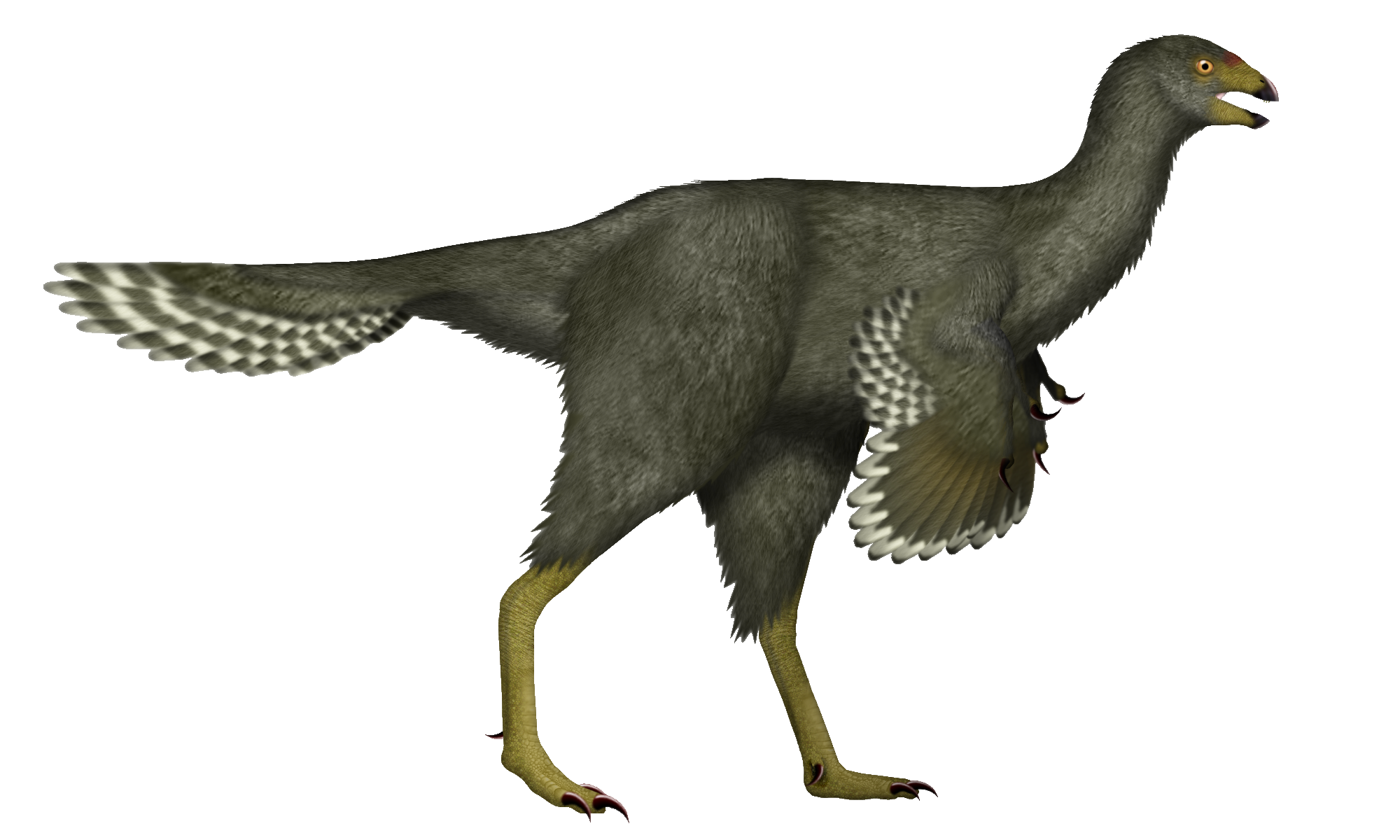 The Feathered Dinosaur Denial (image credits: wikimedia)