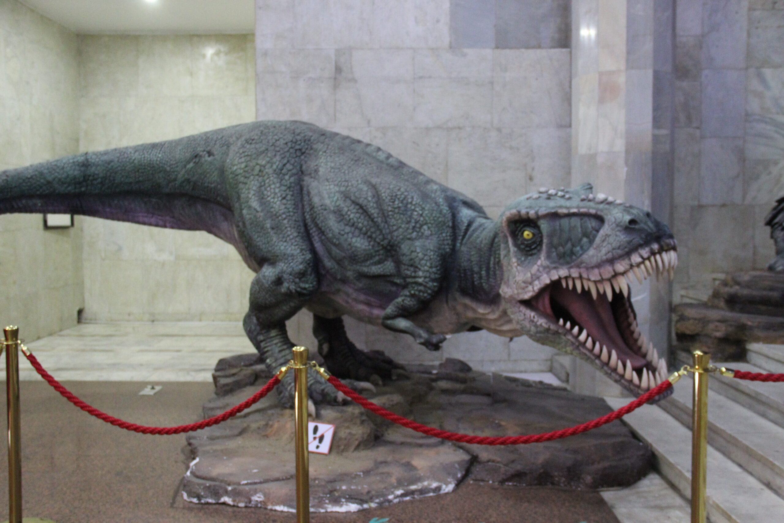 Tarbosaurus: Asia's Bone-Crushing Tyrant (image credits: wikimedia)