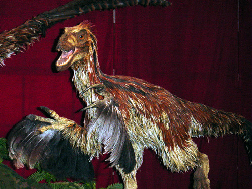 When Birds First Took Flight (image credits: flickr)
