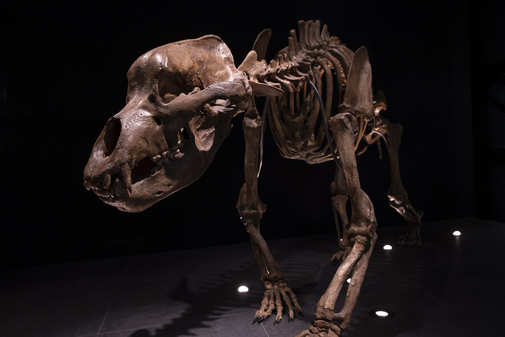 Ice Age Titans (image credits: flickr)