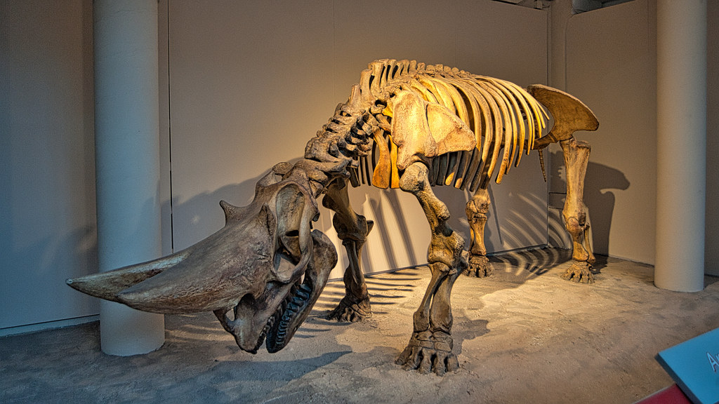 Fossils and Feathers: Exploring Prehistoric Canada at Ottawa's Museum of Nature