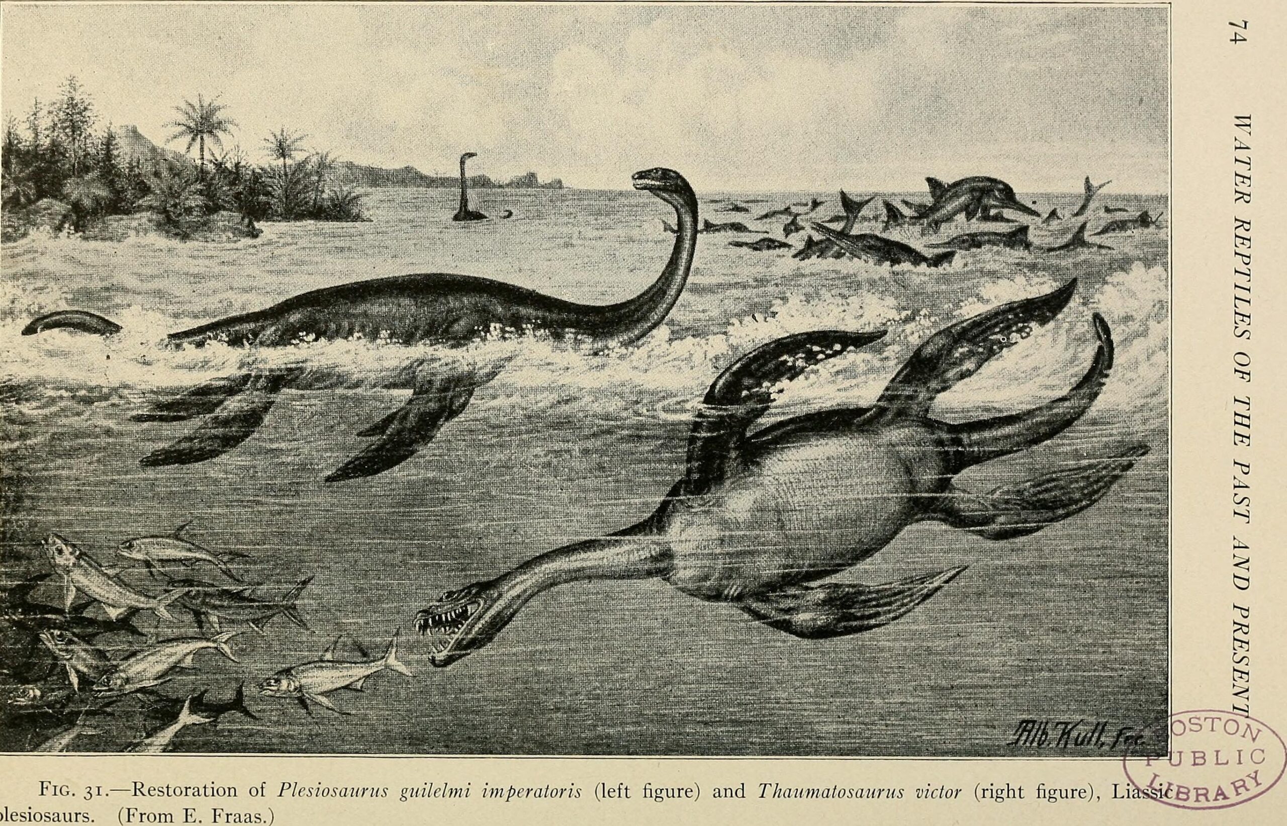 The Mysterious World of Marine Reptiles (image credits: wikimedia)