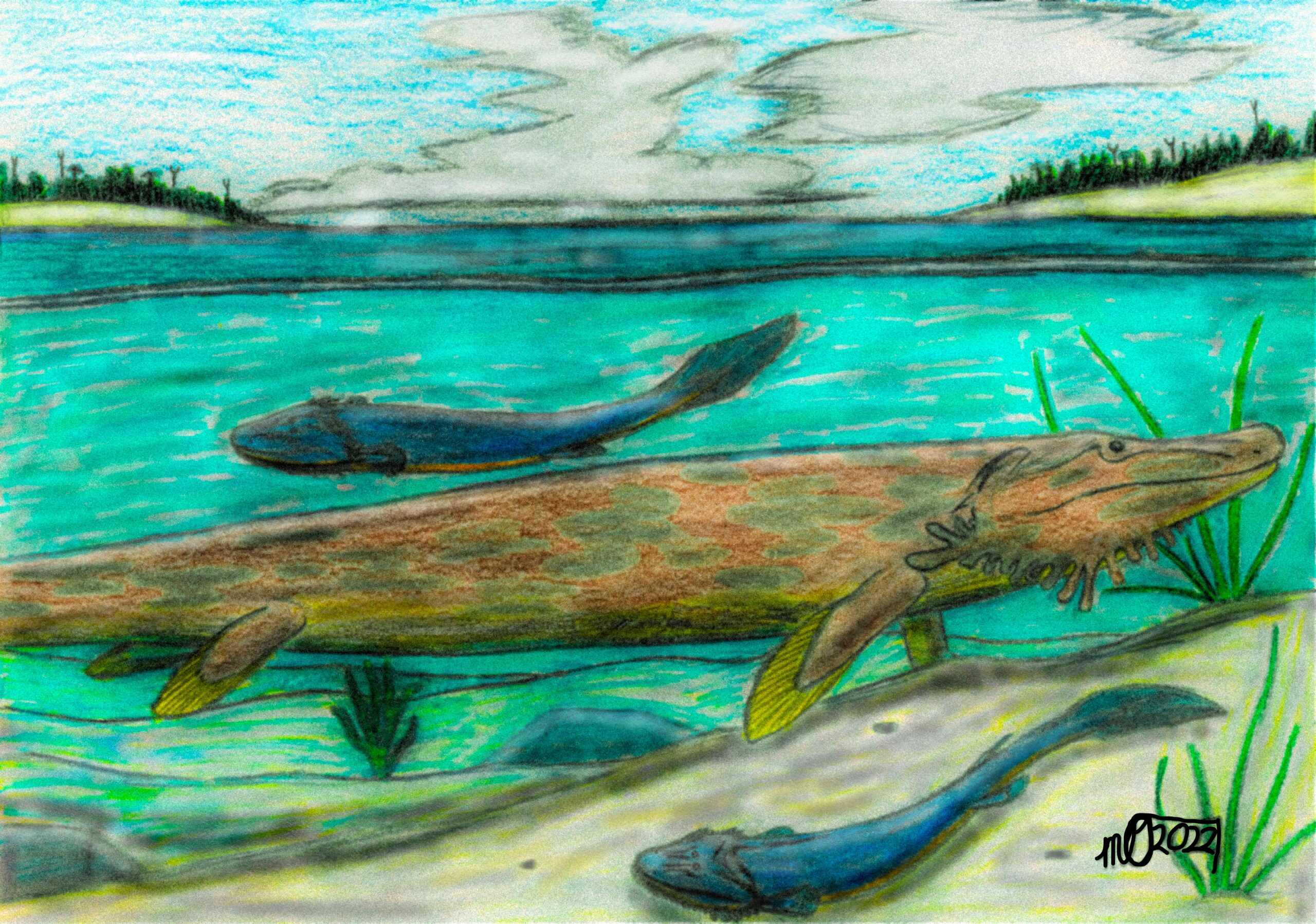 The Age of Fishes Revolution (image credits: wikimedia)