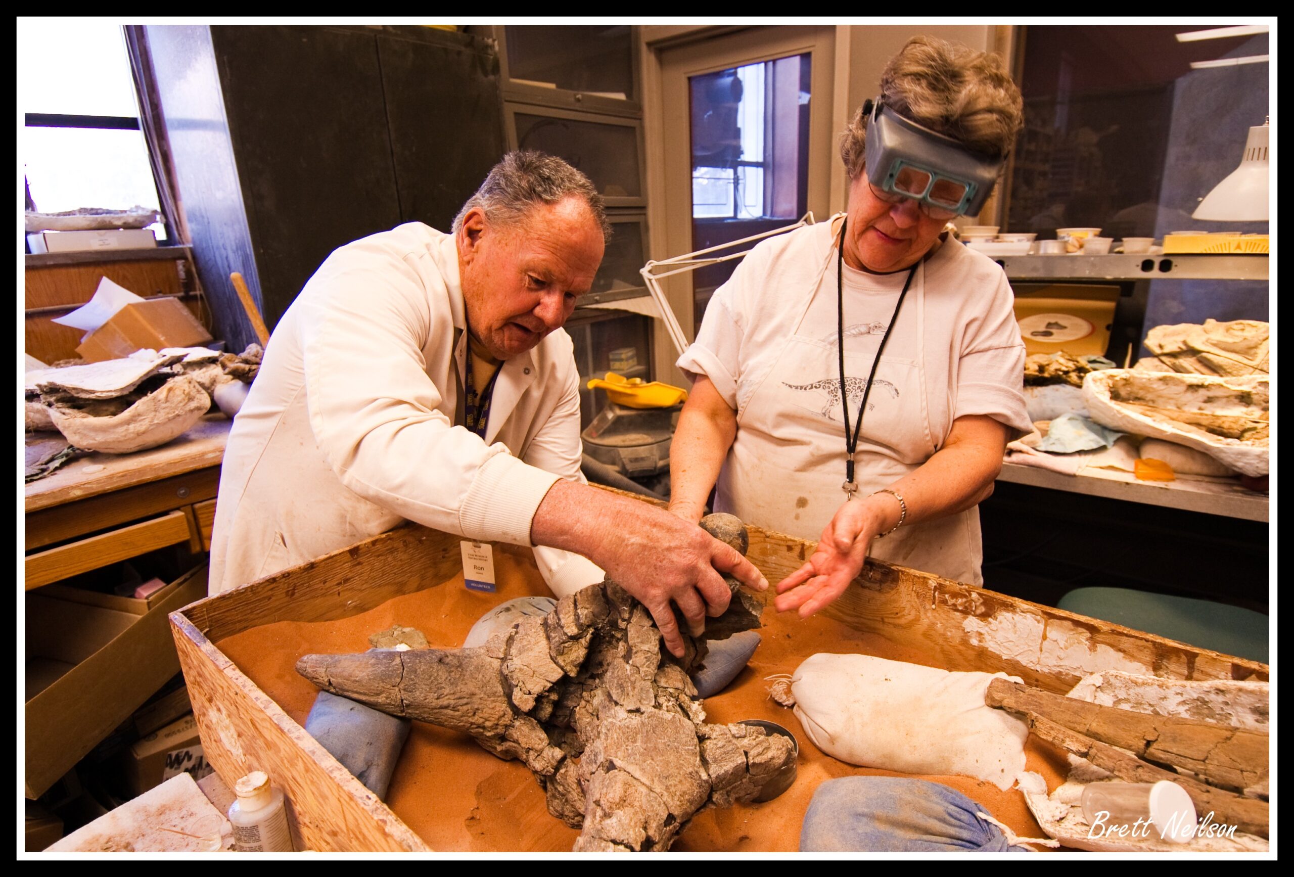 The Art of Fossil Preparation (image credits: wikimedia)