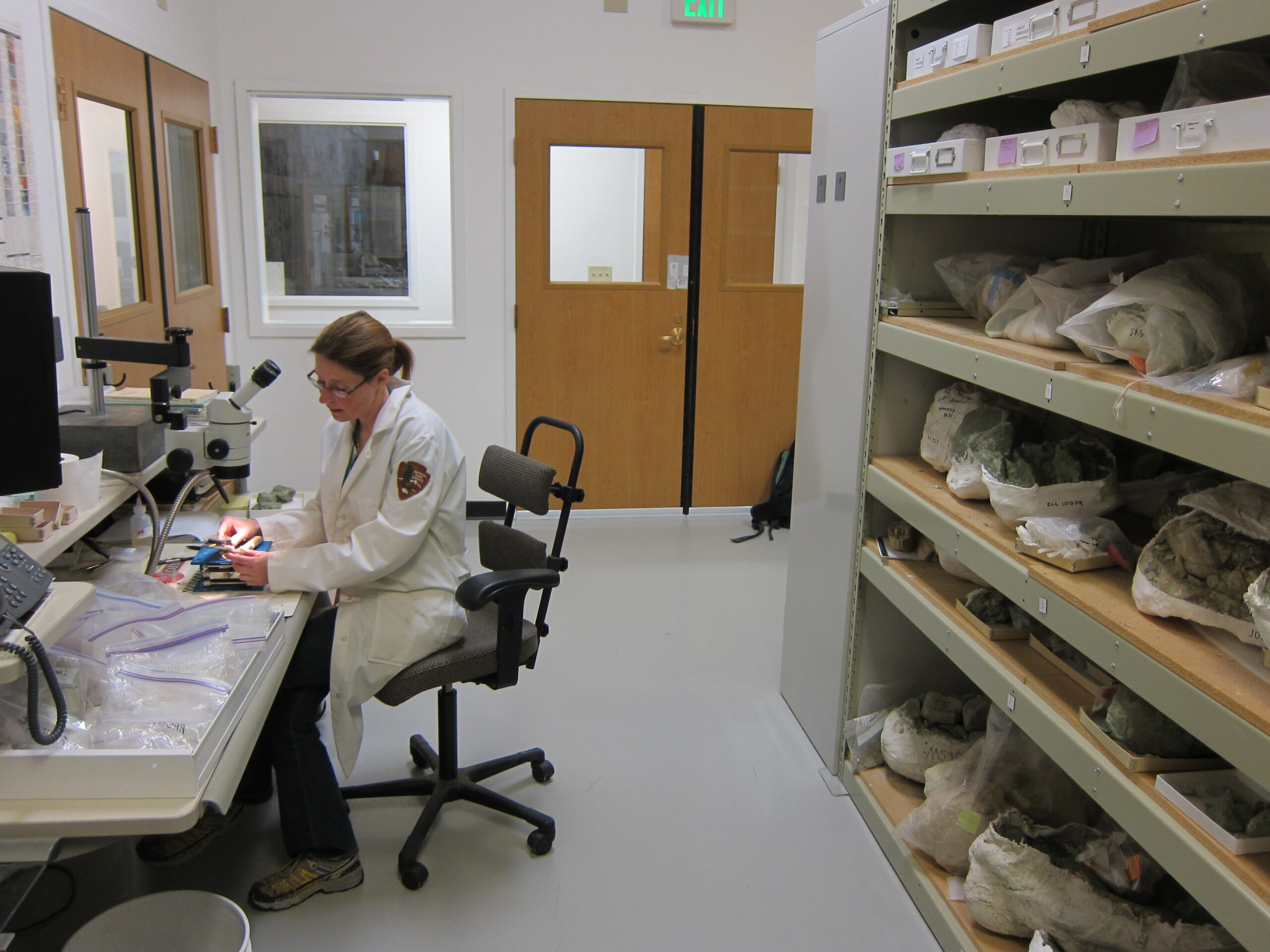 Revolutionary Research and New Discoveries (image credits: wikimedia)